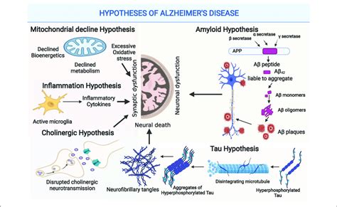 amyloid-beta hypothesis|The amyloid hypothesis of Alzheimer's disease: progress and.